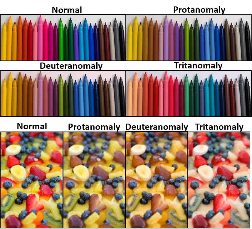 A Step Towards Inclusivity: The Importance of Our Colorblind-Friendly Shoe Collection.